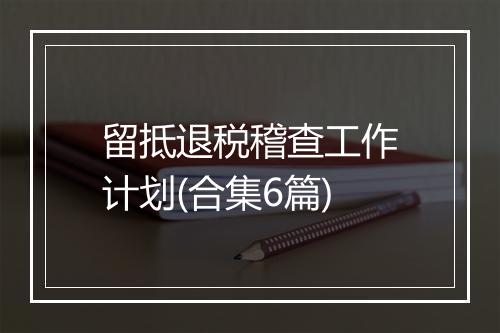 留抵退税稽查工作计划(合集6篇)