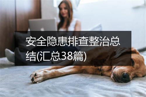 安全隐患排查整治总结(汇总38篇)