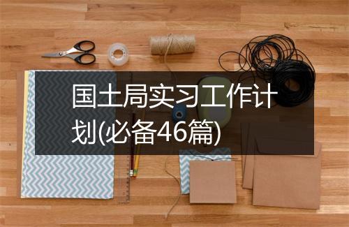 国土局实习工作计划(必备46篇)