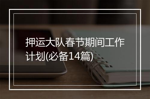 押运大队春节期间工作计划(必备14篇)