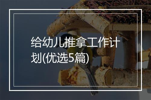 给幼儿推拿工作计划(优选5篇)