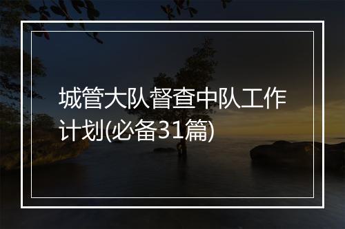 城管大队督查中队工作计划(必备31篇)