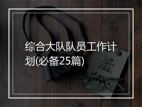 综合大队队员工作计划(必备25篇)