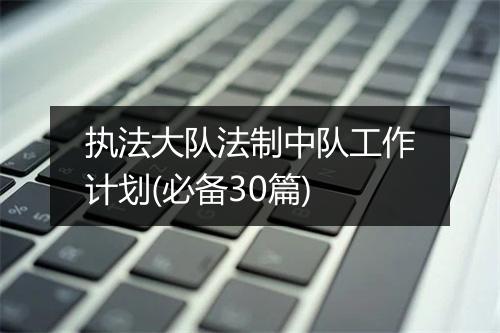 执法大队法制中队工作计划(必备30篇)