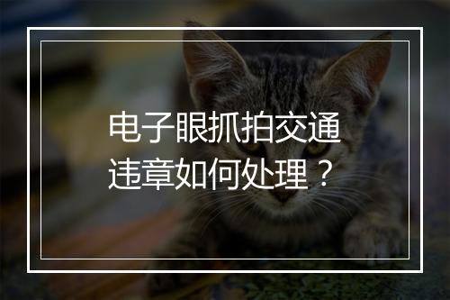电子眼抓拍交通违章如何处理？