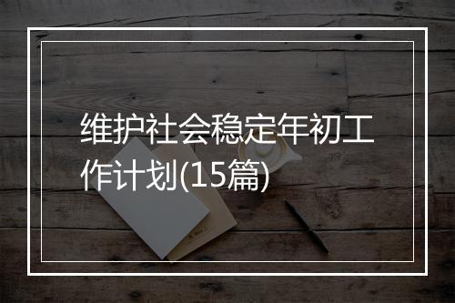 维护社会稳定年初工作计划(15篇)