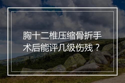 胸十二椎压缩骨折手术后能评几级伤残？