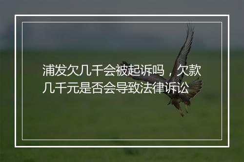 浦发欠几千会被起诉吗，欠款几千元是否会导致法律诉讼