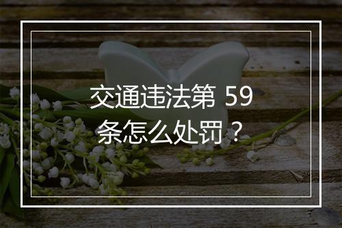 交通违法第 59 条怎么处罚？