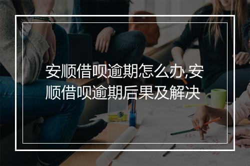 安顺借呗逾期怎么办,安顺借呗逾期后果及解决