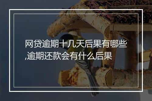 网贷逾期十几天后果有哪些,逾期还款会有什么后果