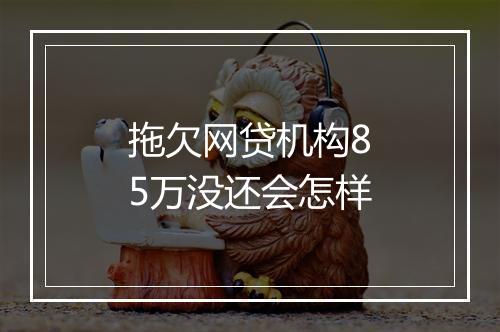 拖欠网贷机构85万没还会怎样