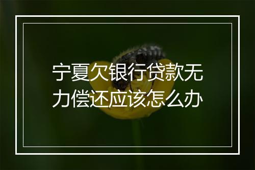 宁夏欠银行贷款无力偿还应该怎么办
