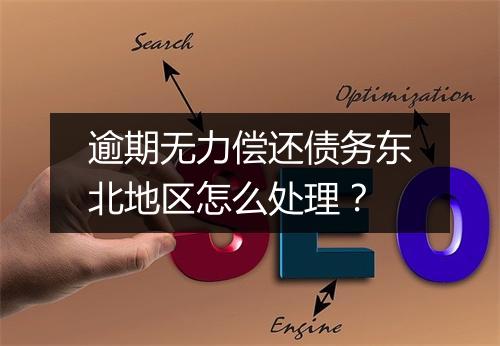 逾期无力偿还债务东北地区怎么处理？