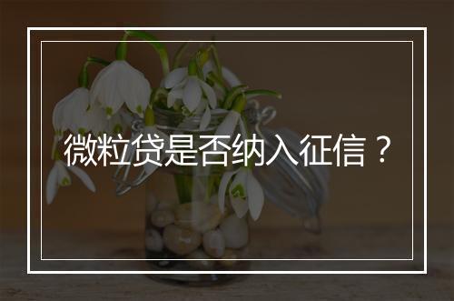 微粒贷是否纳入征信？