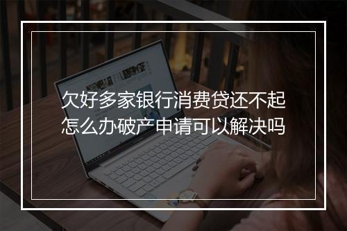 欠好多家银行消费贷还不起怎么办破产申请可以解决吗