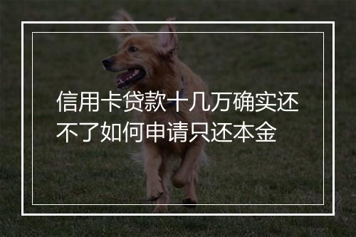 信用卡贷款十几万确实还不了如何申请只还本金