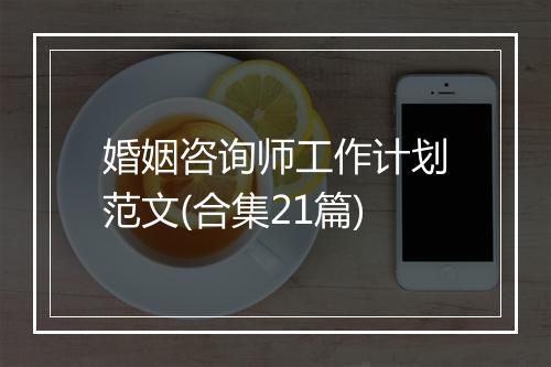 婚姻咨询师工作计划范文(合集21篇)
