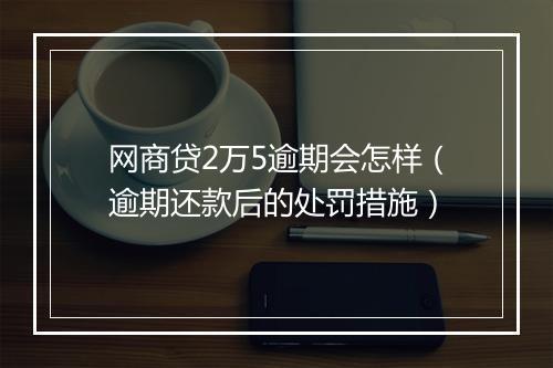 网商贷2万5逾期会怎样（逾期还款后的处罚措施）