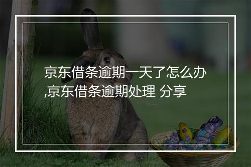 京东借条逾期一天了怎么办,京东借条逾期处理 分享