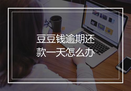 豆豆钱逾期还款一天怎么办