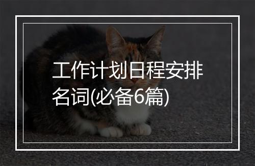 工作计划日程安排名词(必备6篇)
