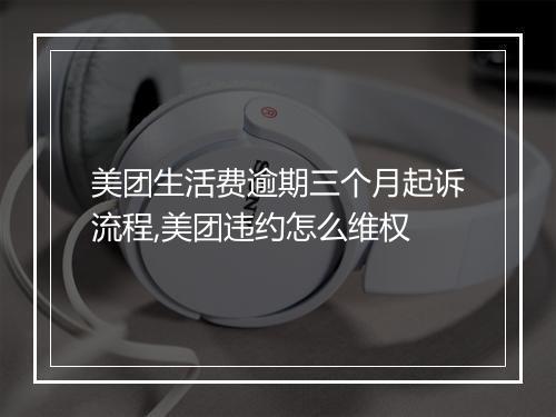 美团生活费逾期三个月起诉流程,美团违约怎么维权