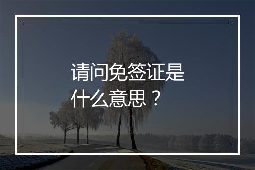 请问免签证是什么意思？