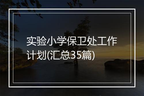 实验小学保卫处工作计划(汇总35篇)