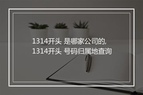 1314开头 是哪家公司的,1314开头 号码归属地查询