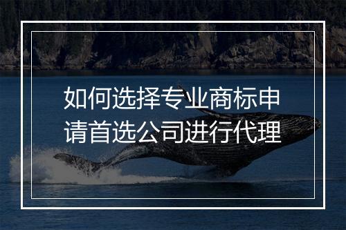 如何选择专业商标申请首选公司进行代理