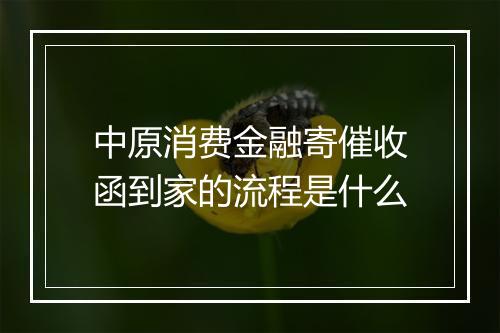 中原消费金融寄催收函到家的流程是什么