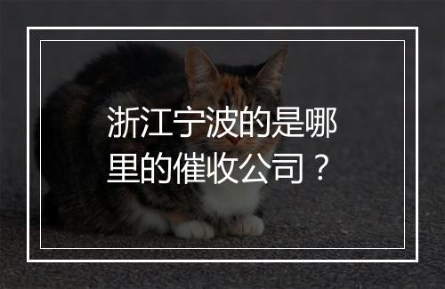 浙江宁波的是哪里的催收公司？