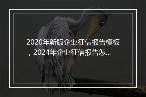 2020年新版企业征信报告模板，2024年企业征信报告怎么打印