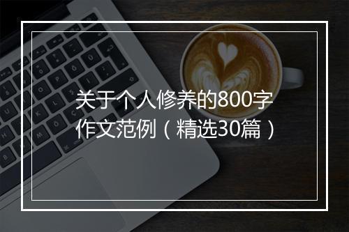 关于个人修养的800字作文范例（精选30篇）