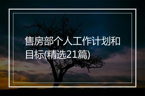 售房部个人工作计划和目标(精选21篇)