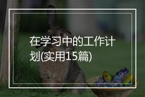 在学习中的工作计划(实用15篇)