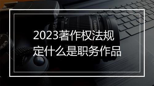 2023著作权法规定什么是职务作品