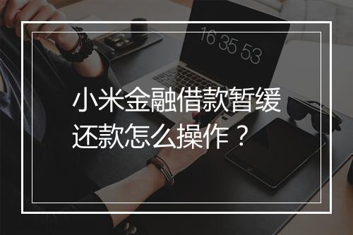 小米金融借款暂缓还款怎么操作？