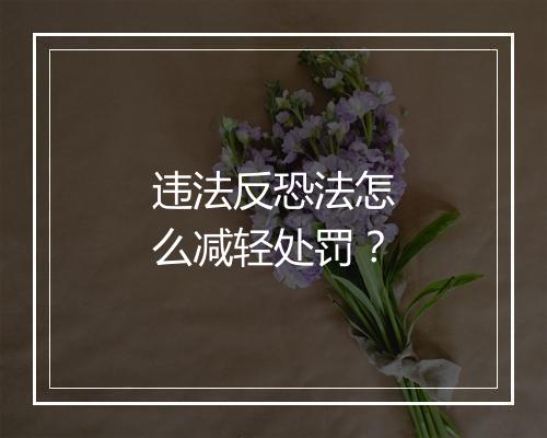 违法反恐法怎么减轻处罚？