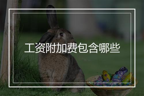 工资附加费包含哪些