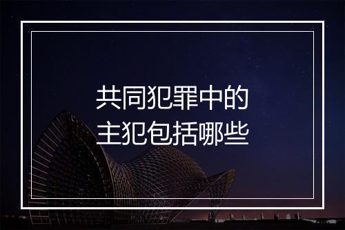 共同犯罪中的主犯包括哪些