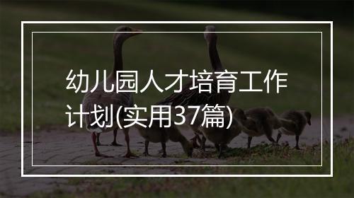 幼儿园人才培育工作计划(实用37篇)