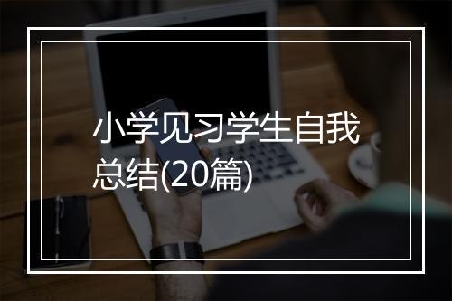 小学见习学生自我总结(20篇)