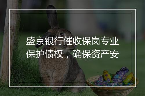 盛京银行催收保岗专业保护债权，确保资产安