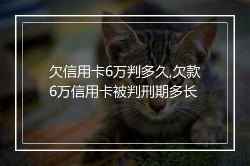 欠信用卡6万判多久,欠款6万信用卡被判刑期多长