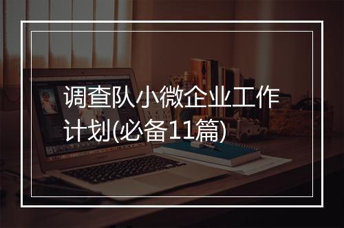 调查队小微企业工作计划(必备11篇)