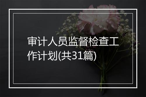 审计人员监督检查工作计划(共31篇)