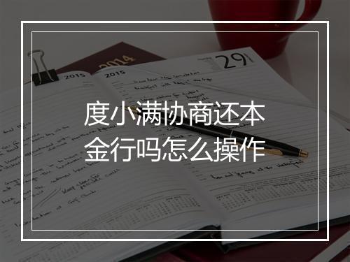 度小满协商还本金行吗怎么操作