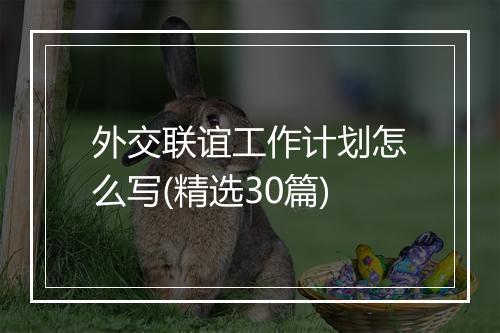 外交联谊工作计划怎么写(精选30篇)